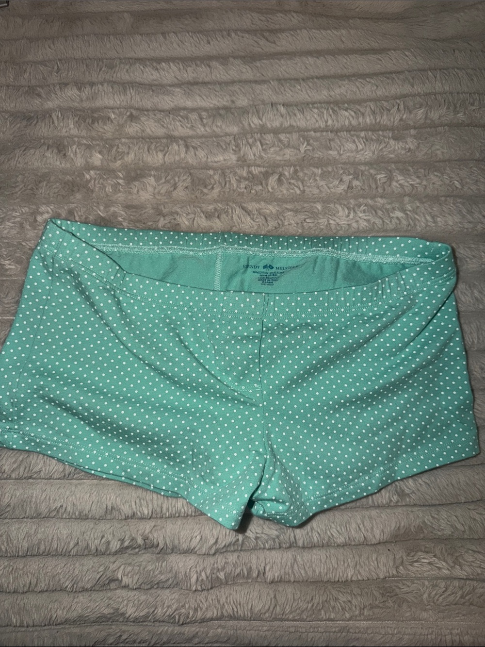 Brandy Melville teal shorts